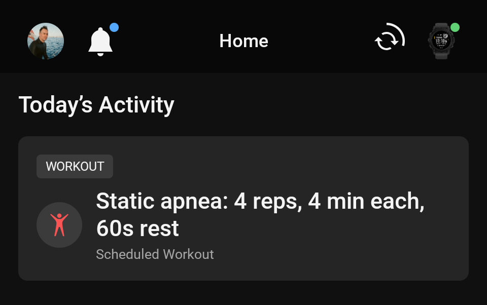 Workout view in Garmin Connect app